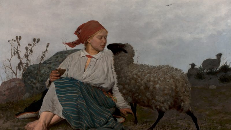 Obrazek wpisu - Owce na tatrzańskich halach i na płótnach malarzy Tatr