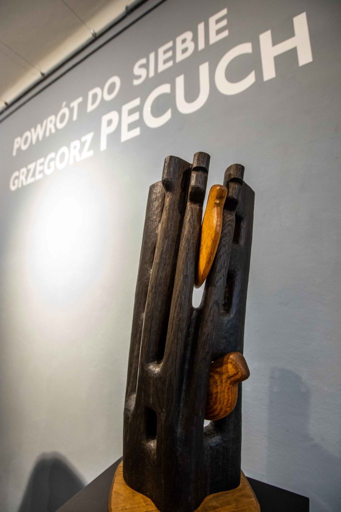 przestrzeń wystawy „Powrót do siebie. Grzegorz Pecuch„, fot. Piotr Droździk, materiały prasowe Muzeum Okręgowego w Nowym Sączu