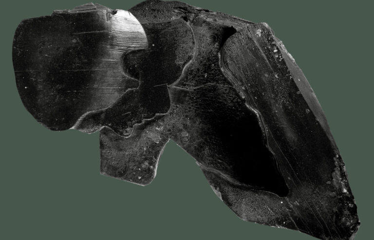Wystawa „Weś gilaweł /Las śpiewa” Małgorzaty Mirgi-Tas